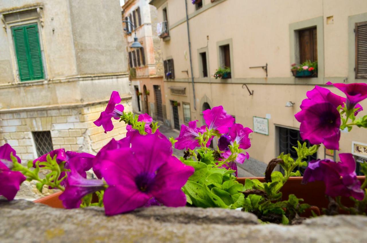 B&B Chiostro San Marco Tarquinia Esterno foto
